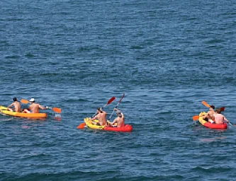 Kayak