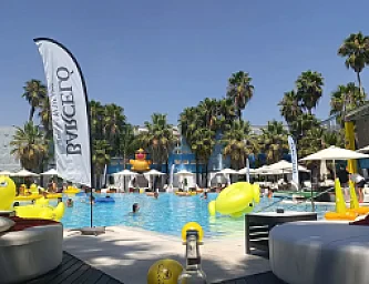 Pool Party Occo