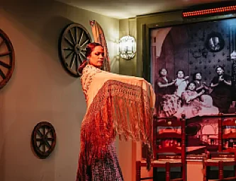Espectáculo Flamenco