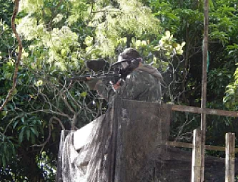 Paintball Nocturno
