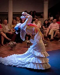Clases de Flamenco