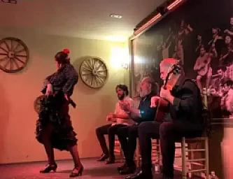 Clases de Flamenco