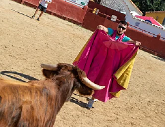 CAPEA FINCA YELES-ILLESCAS