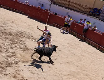 CAPEA FINCA YELES-ILLESCAS