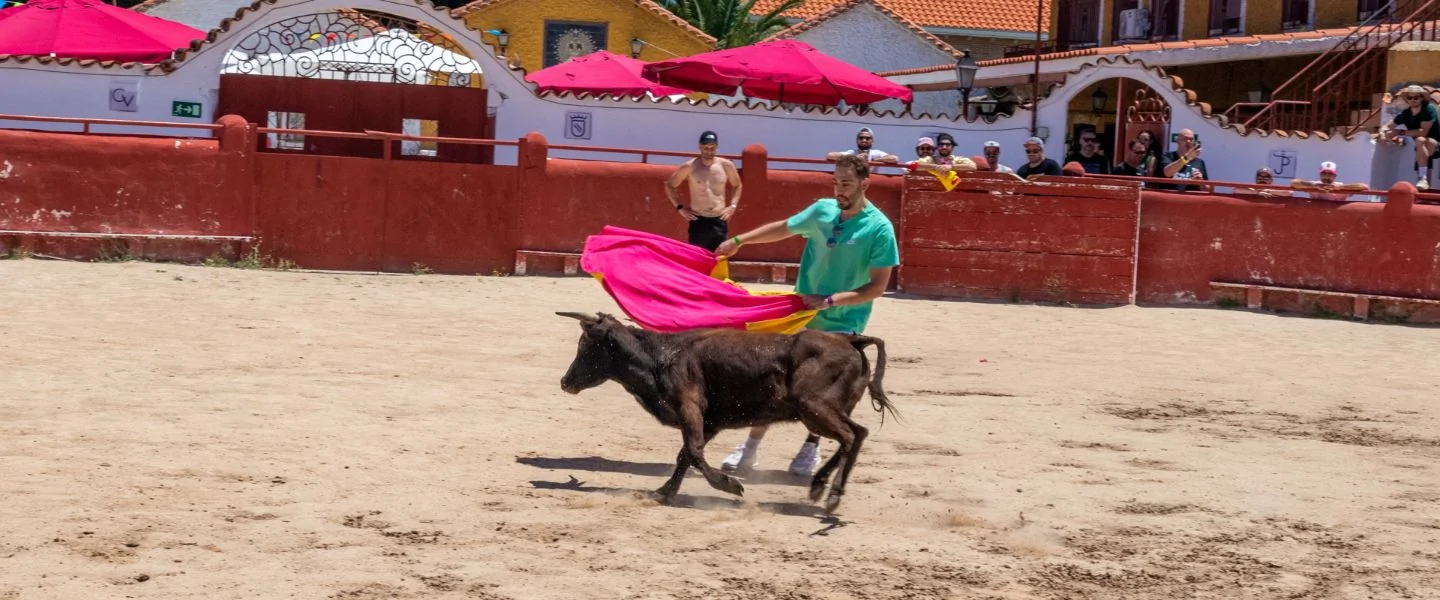 CAPEA FINCA YELES-ILLESCAS