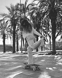 Surfskate