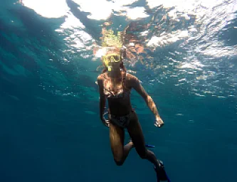 Snorkel