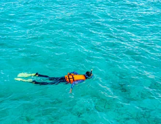 Snorkel