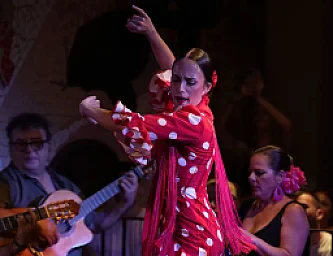 Cena Espectáculo Flamenco