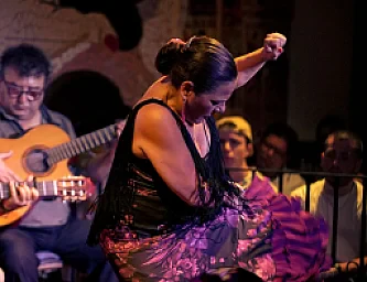 Cena Espectáculo Flamenco