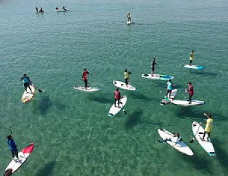 Paddle Surf