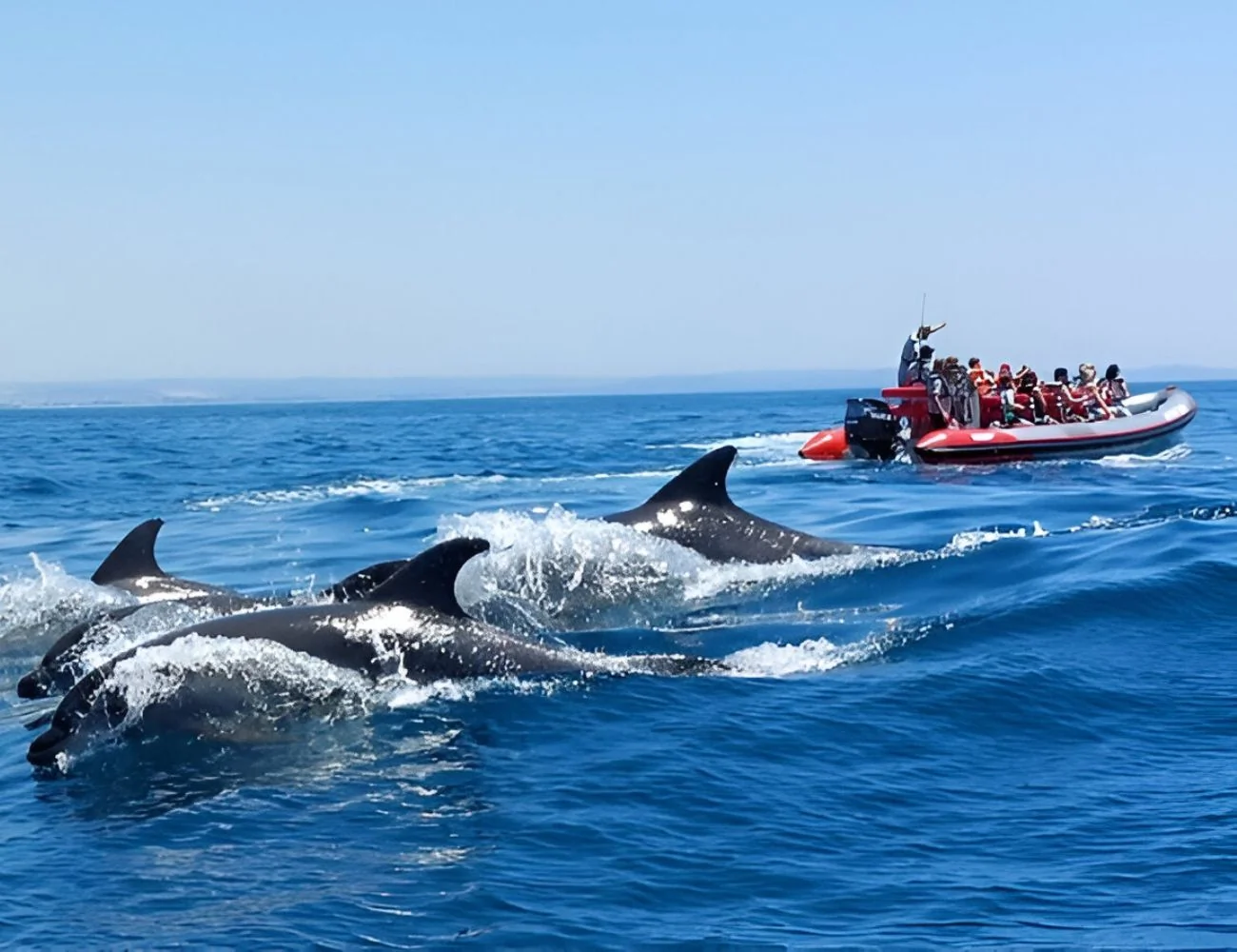 Ruta Cuevas y Delfines