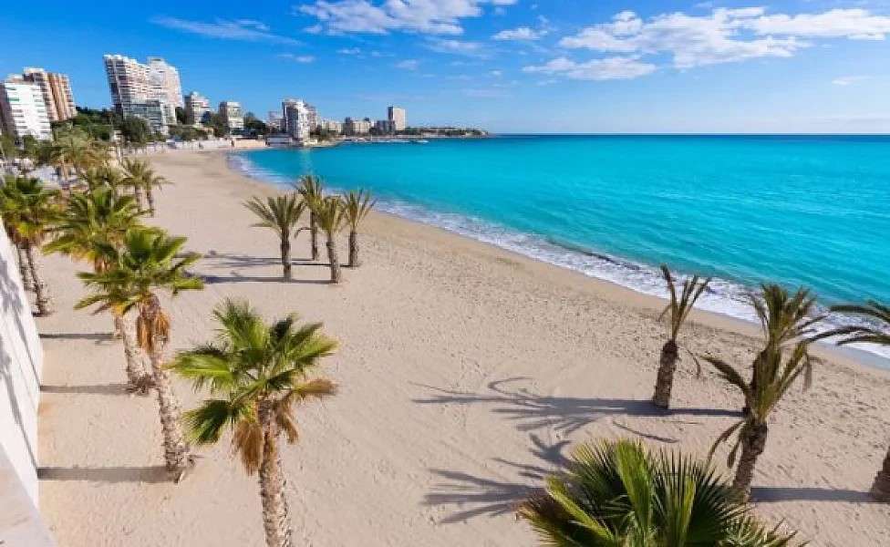 Contrata con Paradise para la mejor despedida en Alicante