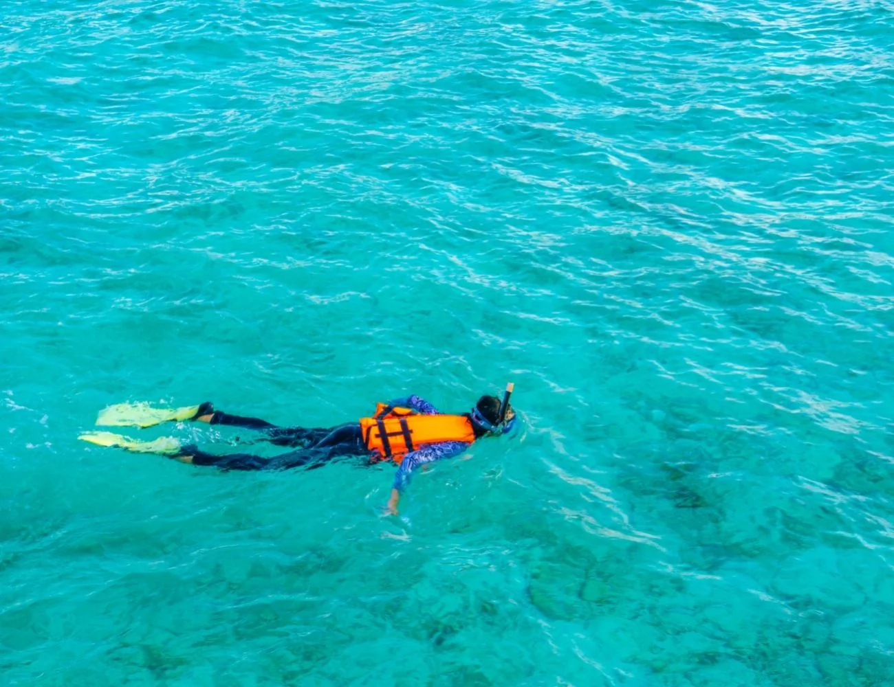 Snorkel