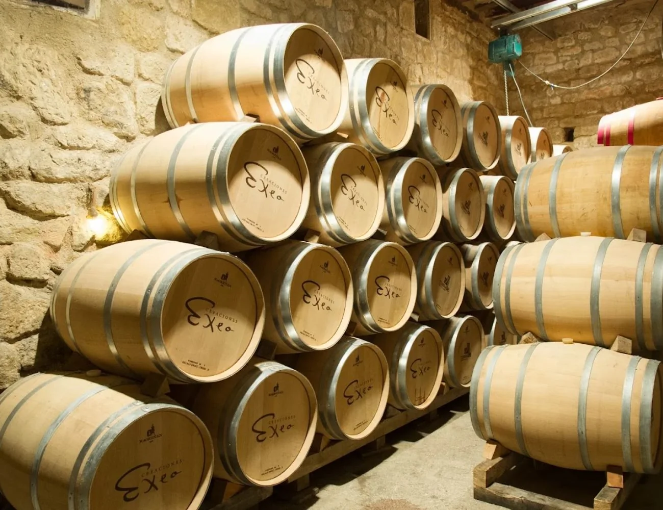 Visita a Bodega en Labastida