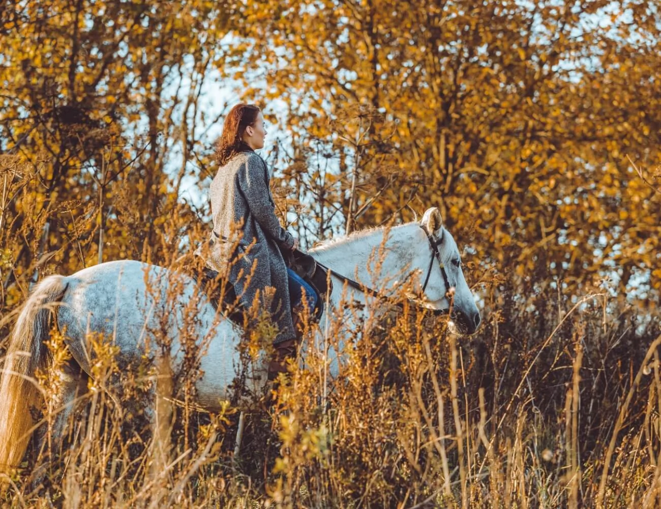 PASEO A CABALLO POR LA SIERRA