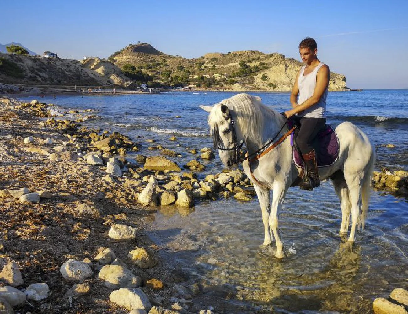 PASEO A CABALLO