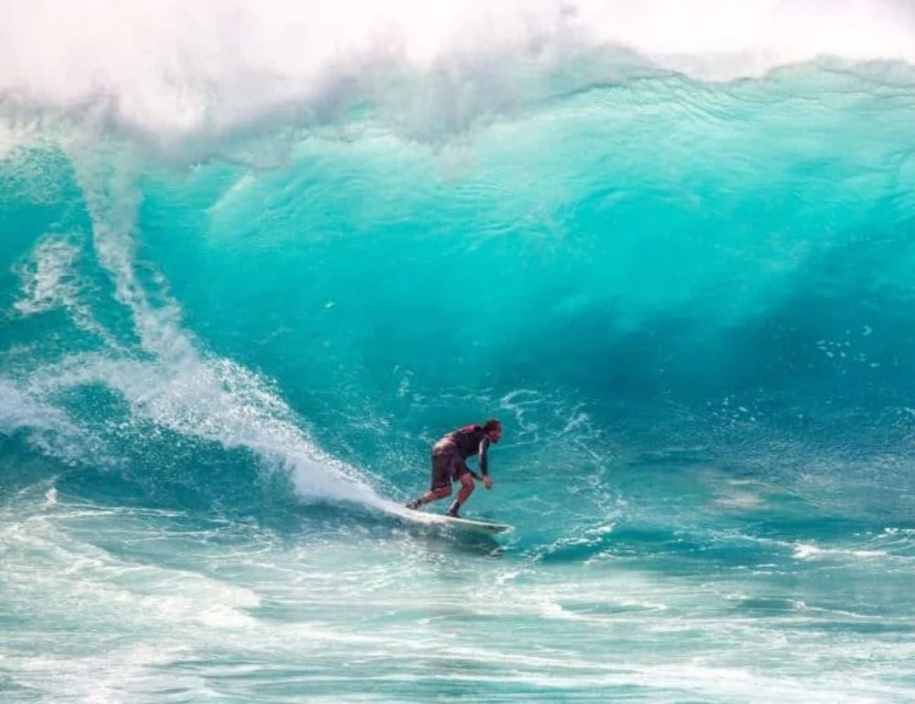 Surf