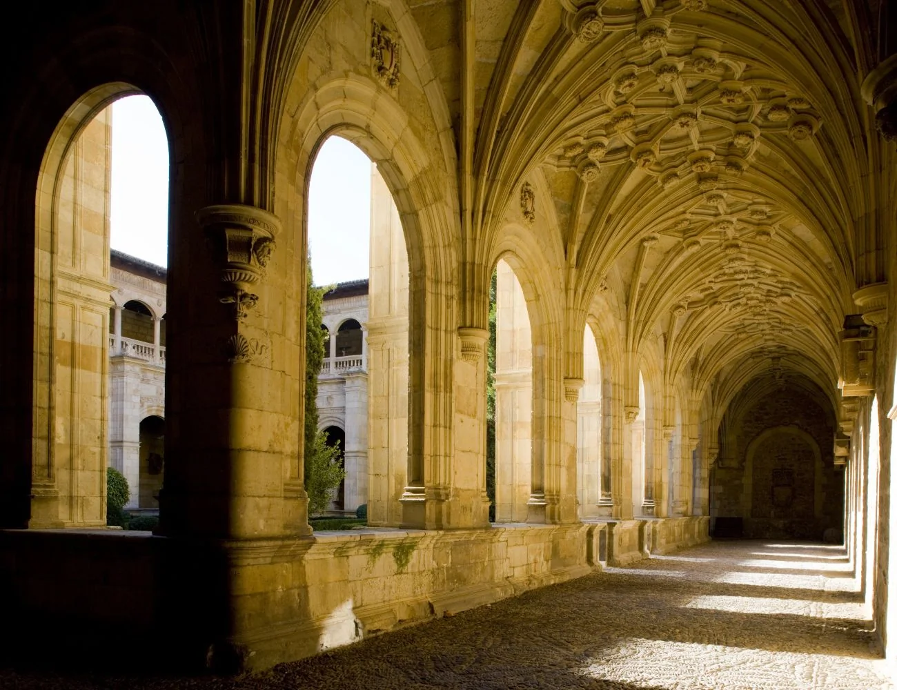 León