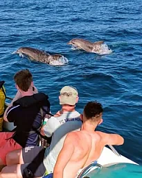 Ruta Cuevas y Delfines