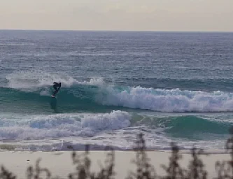 Surf