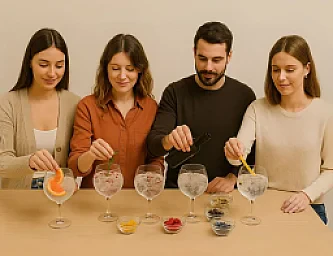 Cata de Gin tonics