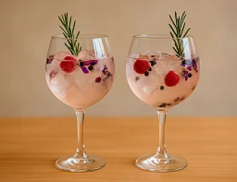 Cata de Gin tonics