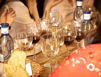 Cata de Vinos