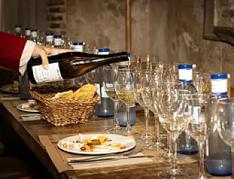 Cata de Vinos