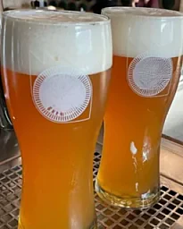 Cena Cata de Cervezas Cartagena