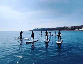 Paddle Surf