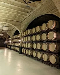 Comida en Bodega