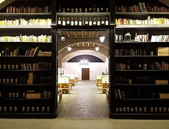 Comida en Bodega